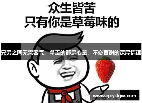 兄弟之间无需客气，拿走的都是心意，不必言谢的深厚情谊